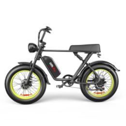 C91-20 Inch Dual-drive High-speed Electric Bike (Option: B)