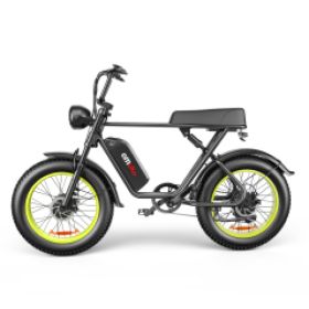 C91-20 Inch Dual-drive High-speed Electric Bike (Option: B)